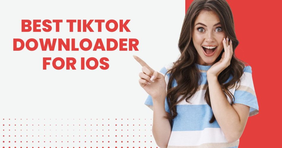 TikTok Downloader for iOS